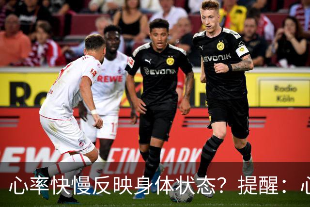 心率快慢反映身体状态？提醒：心率超过这个数，要尽早干预